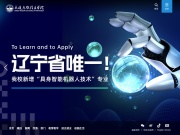 大连东软信息学院